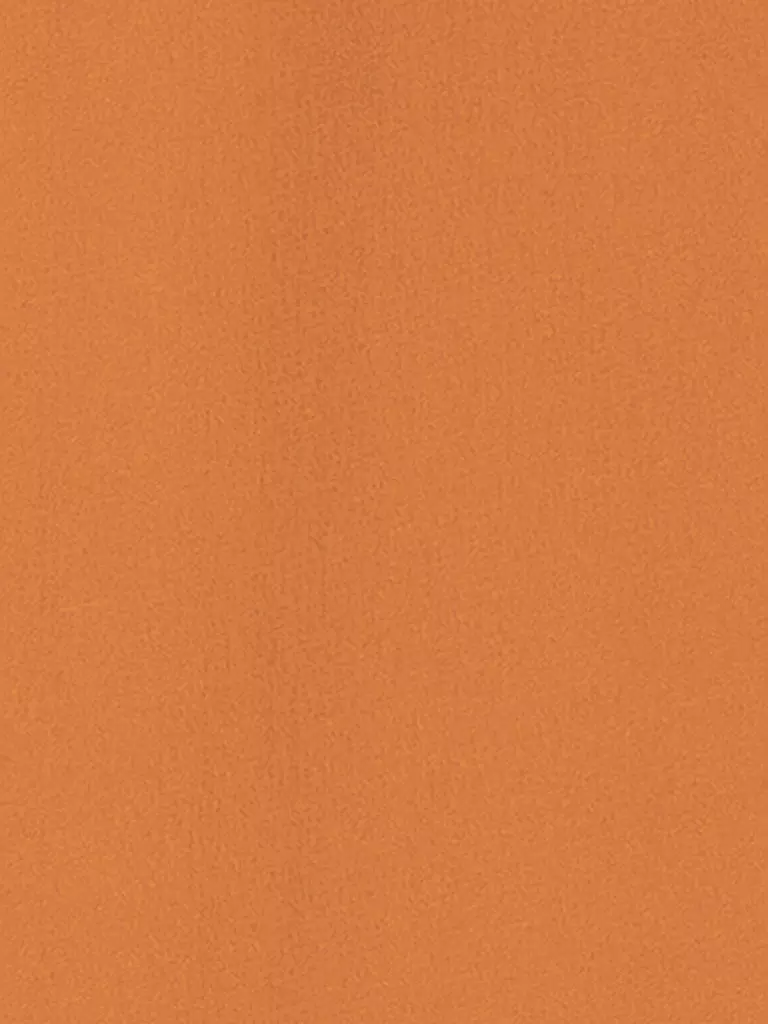 LUISA CERANO | Bluse  | orange