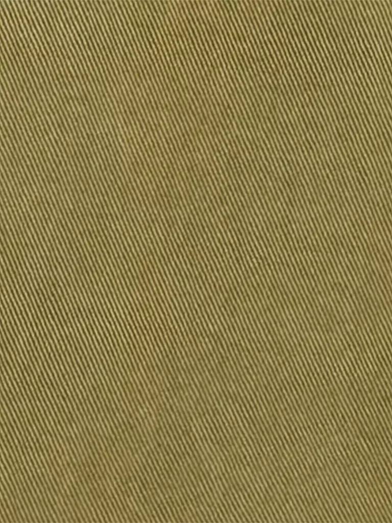 LUISA CERANO | Jeans  | olive