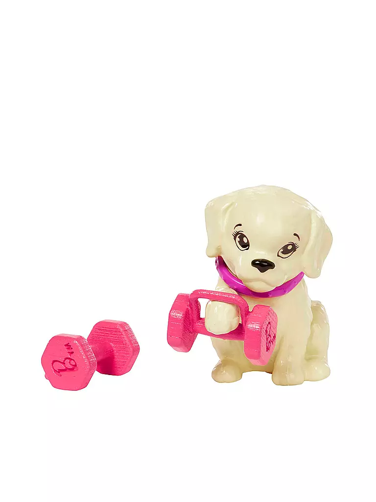 MATTEL | Barbie Wellness - Fitness-Training Puppe | keine Farbe