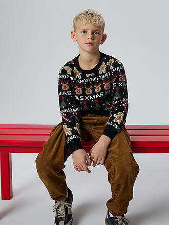 NAME IT | Jungen Pullover NKNRASKO