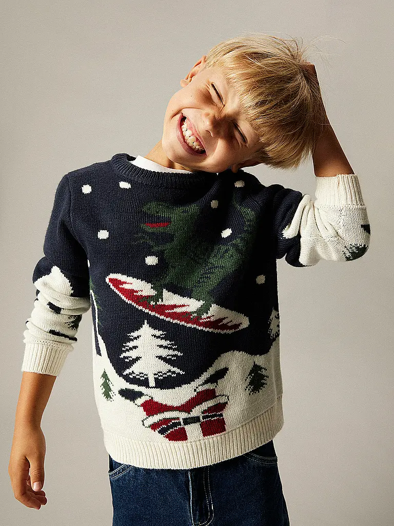 NAME IT | Jungen Pullover NKNREBO  | dunkelblau