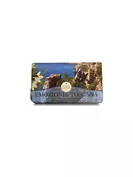 NESTI DANTE | Seife - Emozioni In Toscana Soap Bosco Incantato 250g | blau