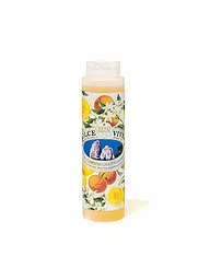 NESTI DANTE | Shower Gel Capri 300ml | keine Farbe