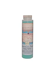 NESTI DANTE | Shower Gel Thermal Waters 300ml | keine Farbe