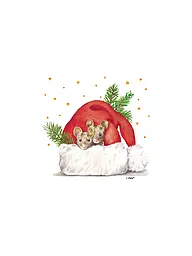 PAPER-PRODUCTS | Weihnachts-Servietten 33x33cm  | Weiss
