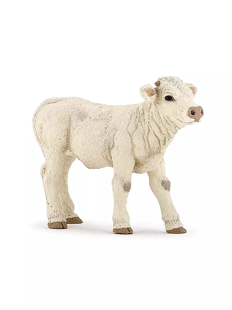 PAPO | Charolais Kalb | keine Farbe