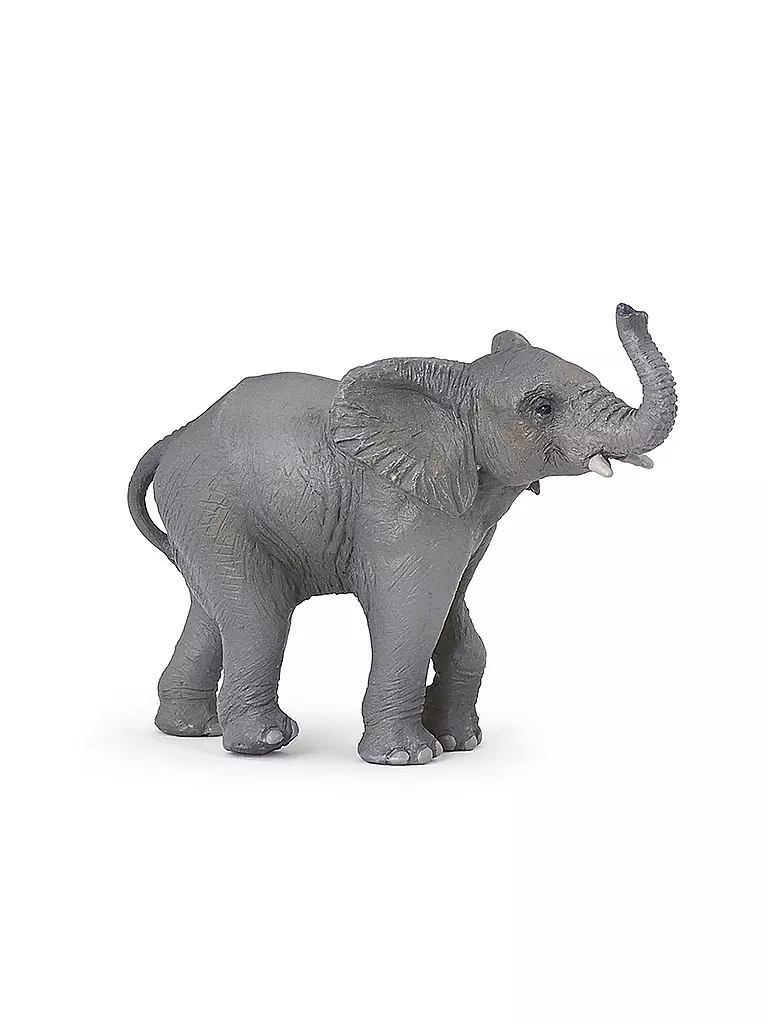 PAPO | Junger Elefant | keine Farbe