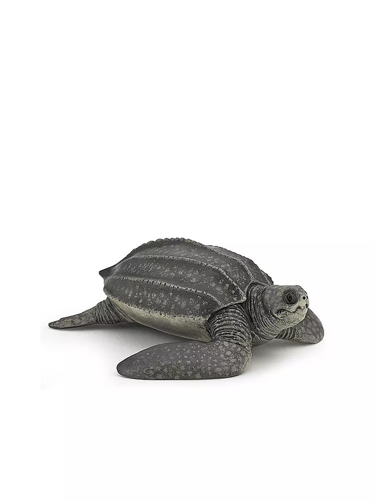 PAPO | Lederschildkröte | keine Farbe