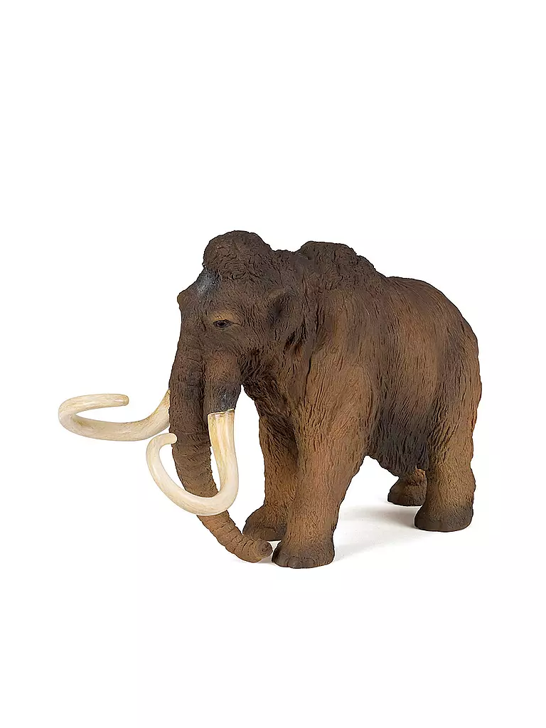 PAPO | Mammut | keine Farbe