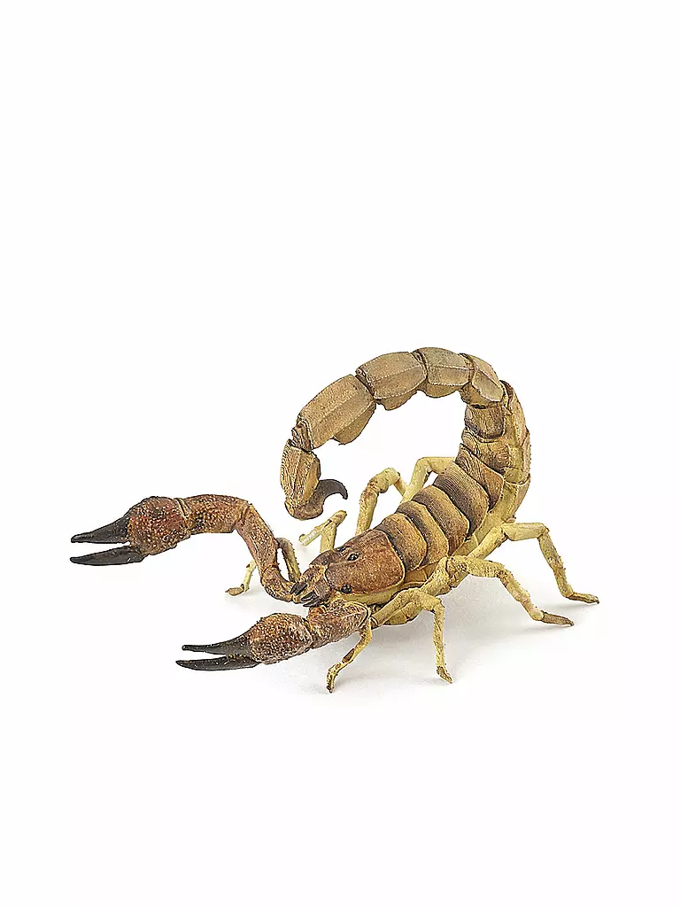 PAPO | Skorpion | keine Farbe