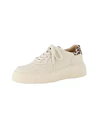 PAUL GREEN | Sneaker  | beige