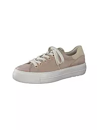 PAUL GREEN | Sneaker  | beige