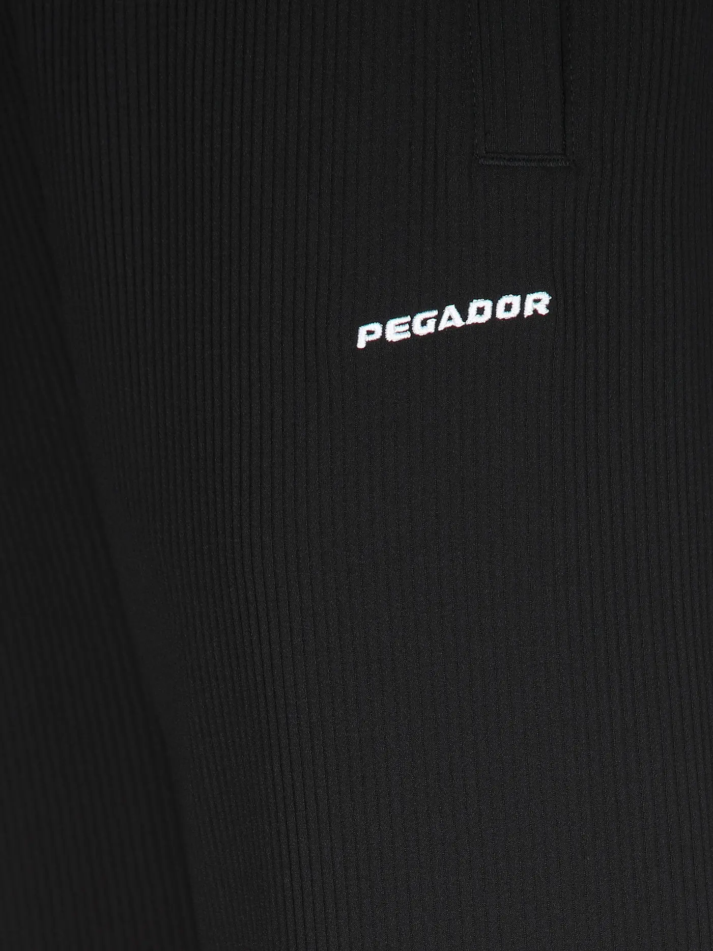 PEGADOR | Jogginghose TROY PLISSEE | schwarz