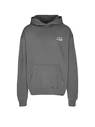 PEGADOR | Kapuzensweater - Hoodie FOX  | grau