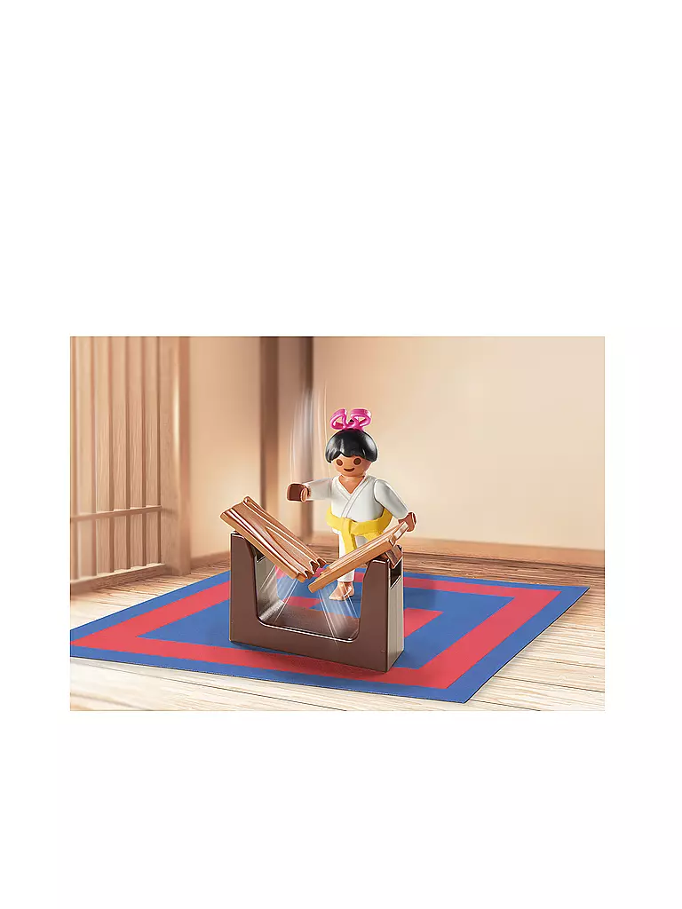 PLAYMOBIL | Karate Training 71186 | keine Farbe