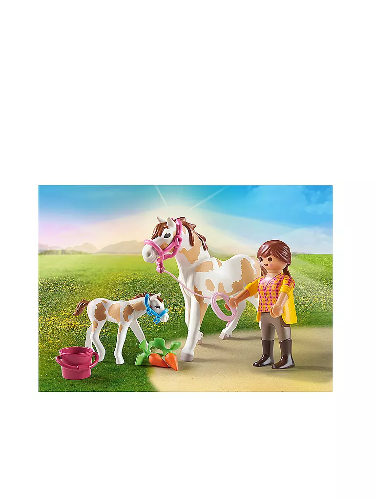 PLAYMOBIL | Pferd mit Fohlen 71243 | keine Farbe