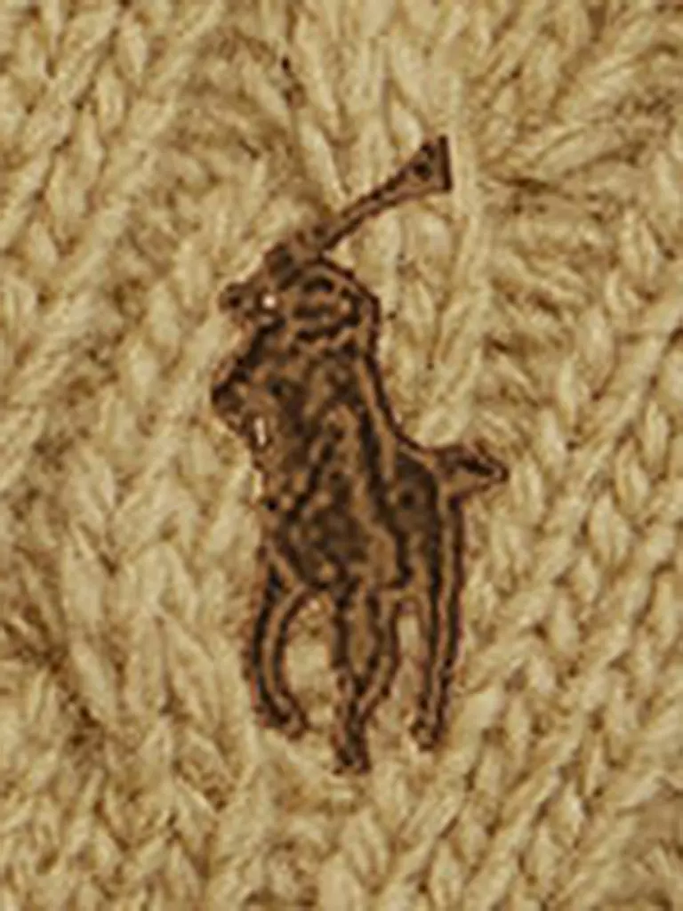 POLO RALPH LAUREN | Handschuhe Touchscreen | schwarz
