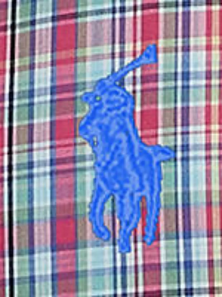 POLO RALPH LAUREN | Hemd | rot