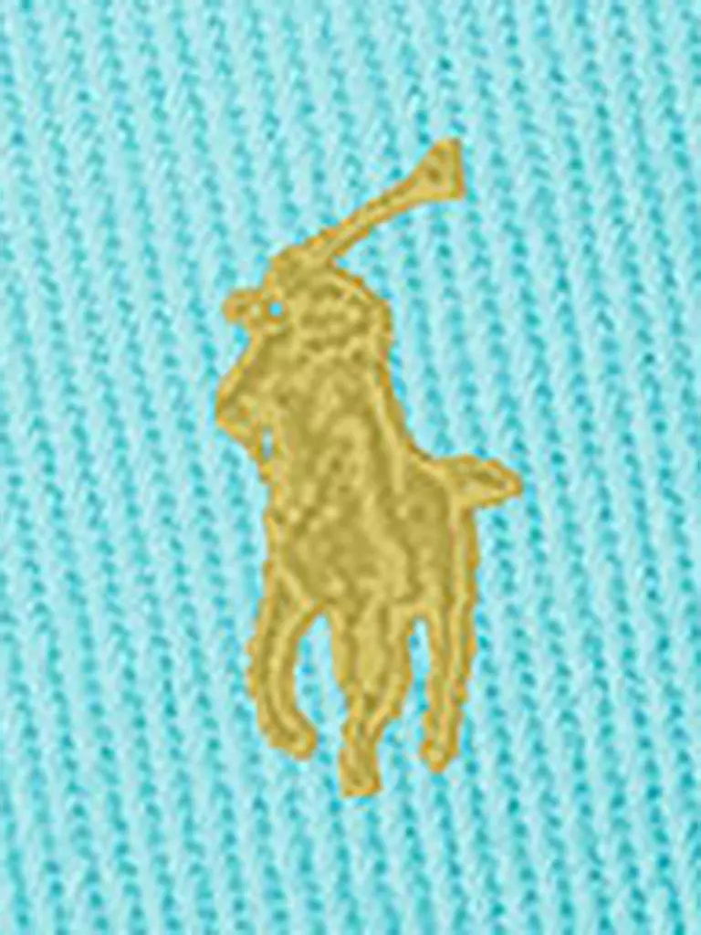 POLO RALPH LAUREN | Kappe | blau