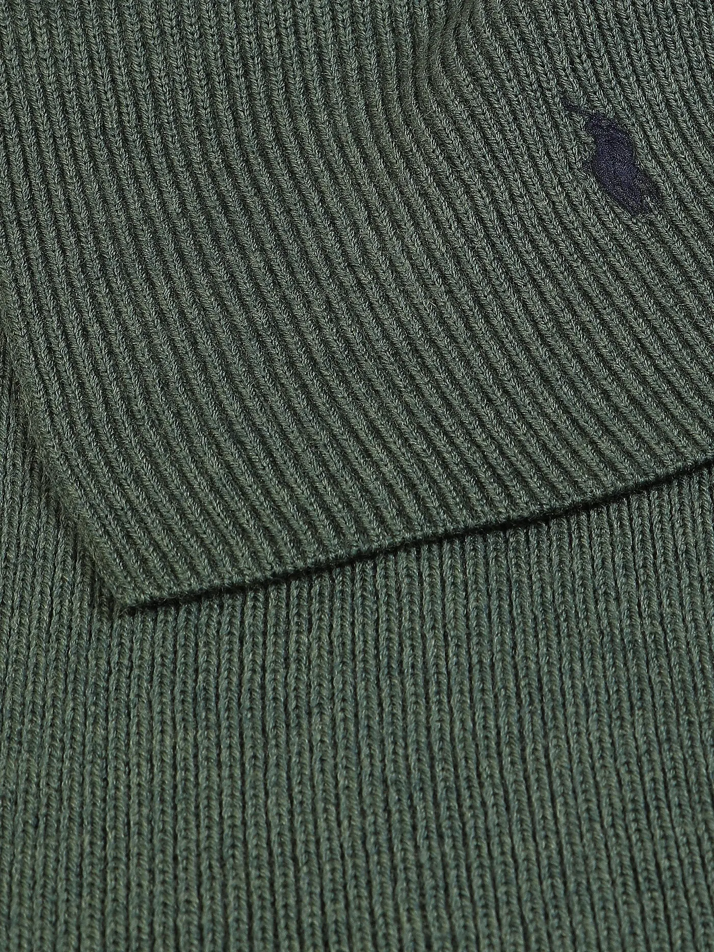 POLO RALPH LAUREN | Schal | olive