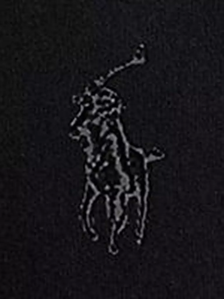 POLO RALPH LAUREN | Troyer Pullover Regular Fit | 