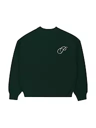 PROHIBITED | Pullover INITIAL  | dunkelgrün