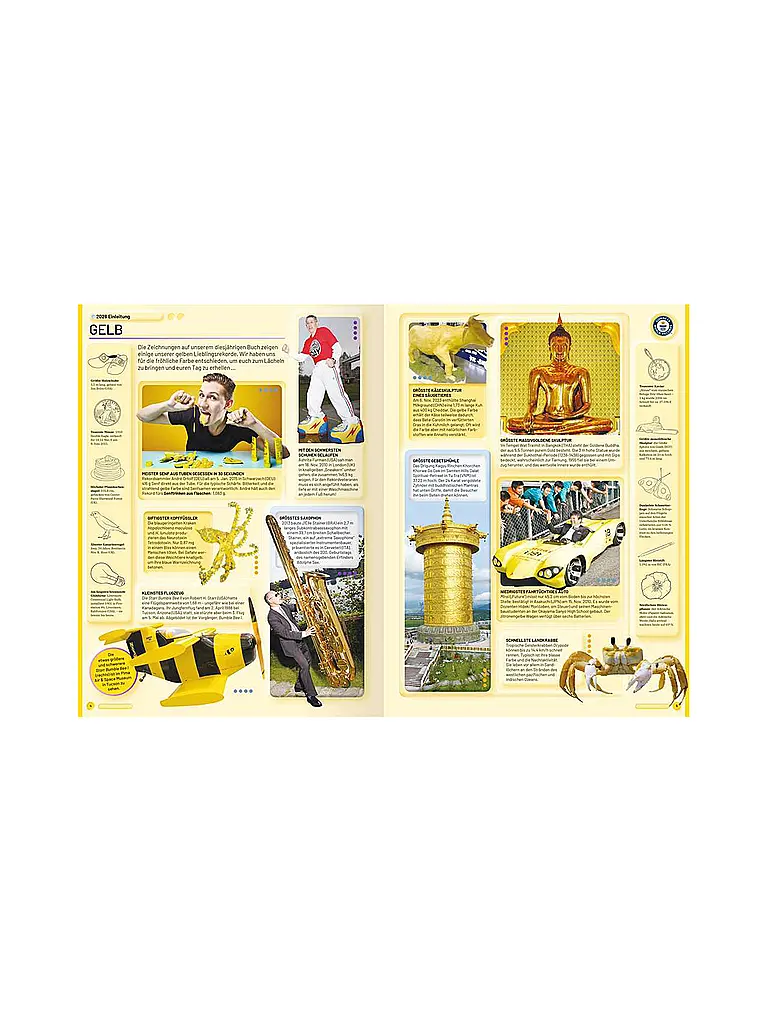 RAVENSBURGER | Buch - Guinness World Records - 2026 | bunt