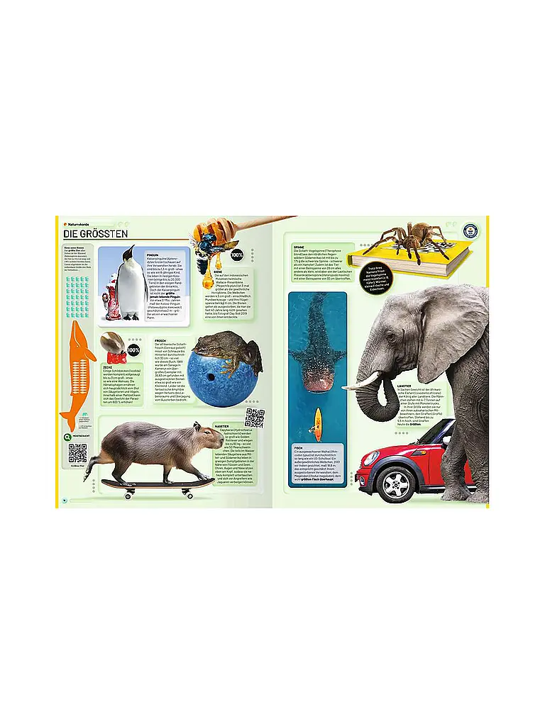 RAVENSBURGER | Buch - Guinness World Records - 2026 | 