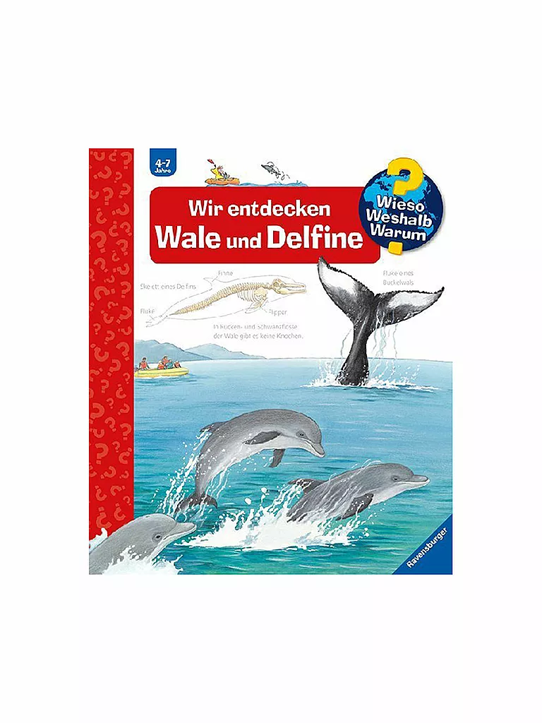 RAVENSBURGER | Buch - Wieso Weshalb Warum - Wir entdecken Wale und Delfine Band 41 | keine Farbe
