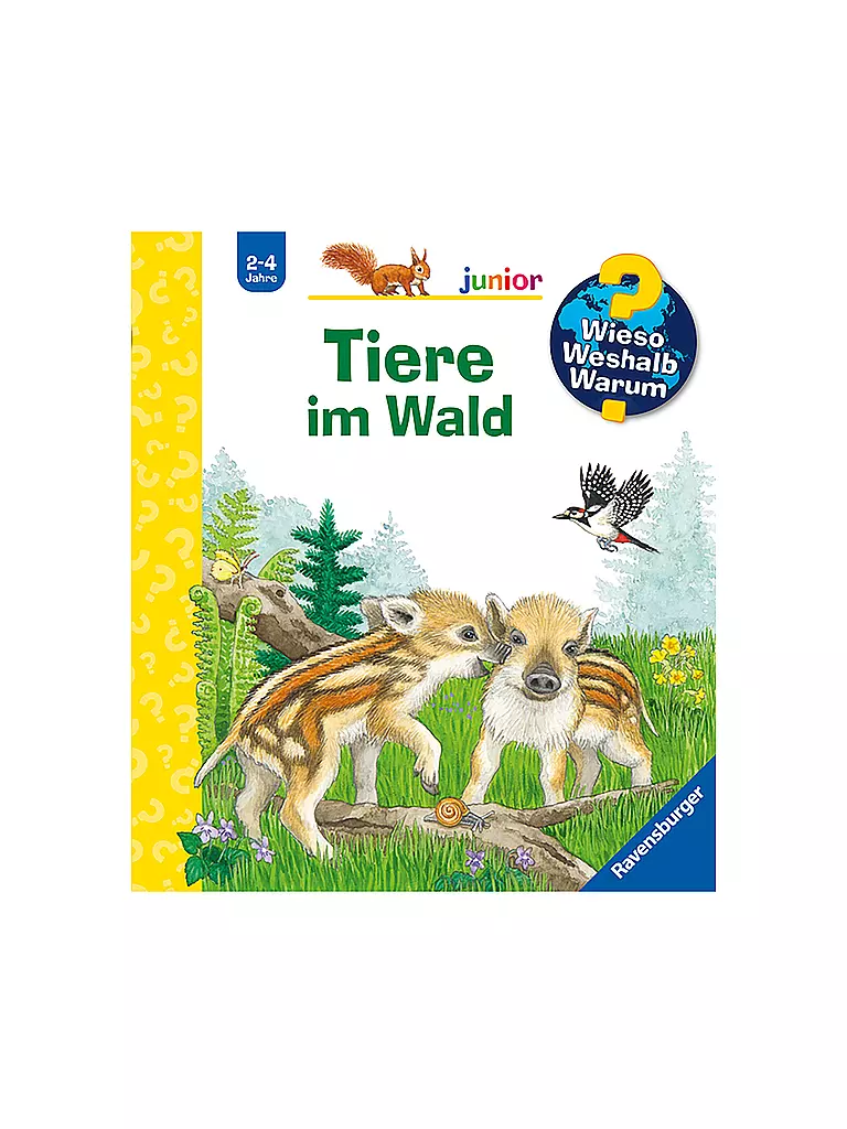 RAVENSBURGER | Buch - Wieso Weshalb Warum Junior - Tiere im Wald, Patrizia Mennen | keine Farbe