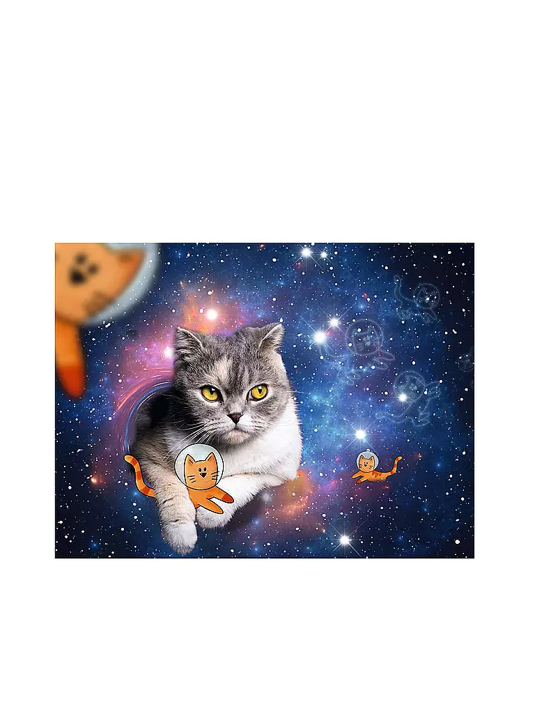 RAVENSBURGER | Puzzle - Katzen fliegen im Weltall 1500 Teile  | keine Farbe
