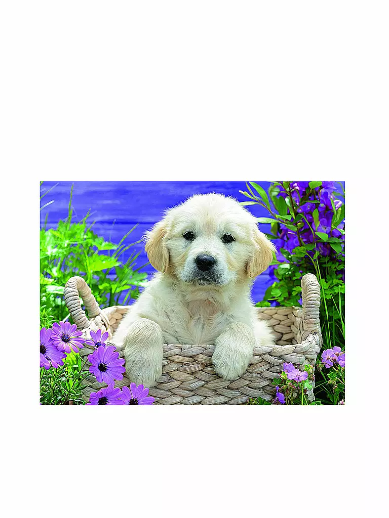 RAVENSBURGER | Puzzle - Süßer Golden Retriever - 500 Teile | keine Farbe