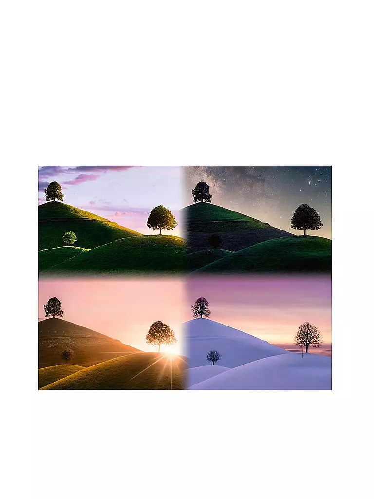 RAVENSBURGER | Puzzle - Stimmungsvolle Bäume und Berge 2000 Teile  | keine Farbe