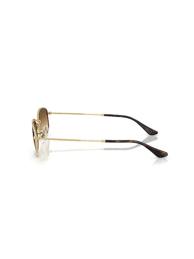 RAY BAN | Sonnenbrille 0RB3832/55 | 