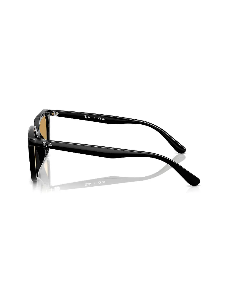 RAY BAN | Sonnenbrille 0RB4439D/54 | schwarz