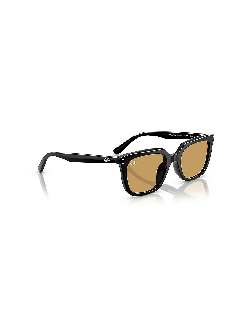 RAY BAN | Sonnenbrille 0RB4439D/54 | schwarz