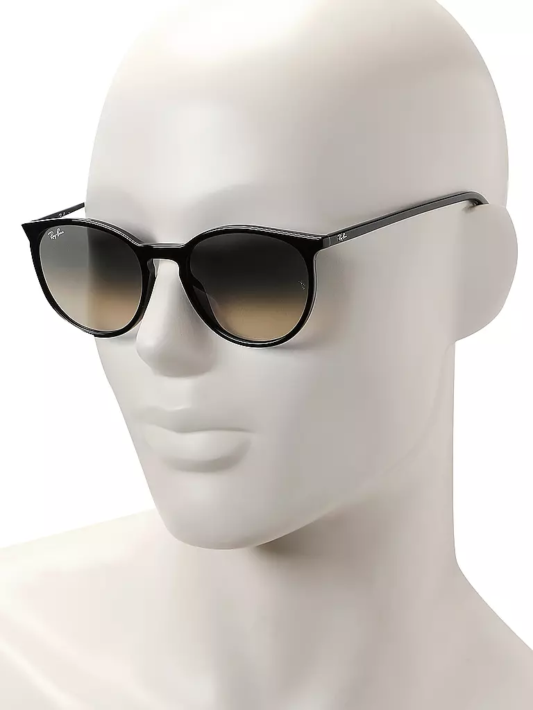 RAY BAN | Sonnenbrille 2204/54 | schwarz