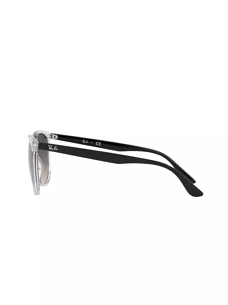 RAY BAN | Sonnenbrille 4378/54 | schwarz