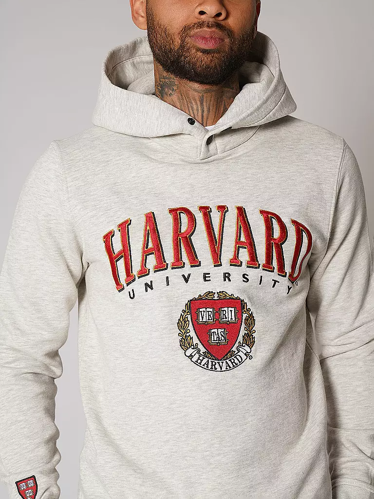 REPLAY | Kapuzensweater - Hoodie COLLEGE HARVARD | grau