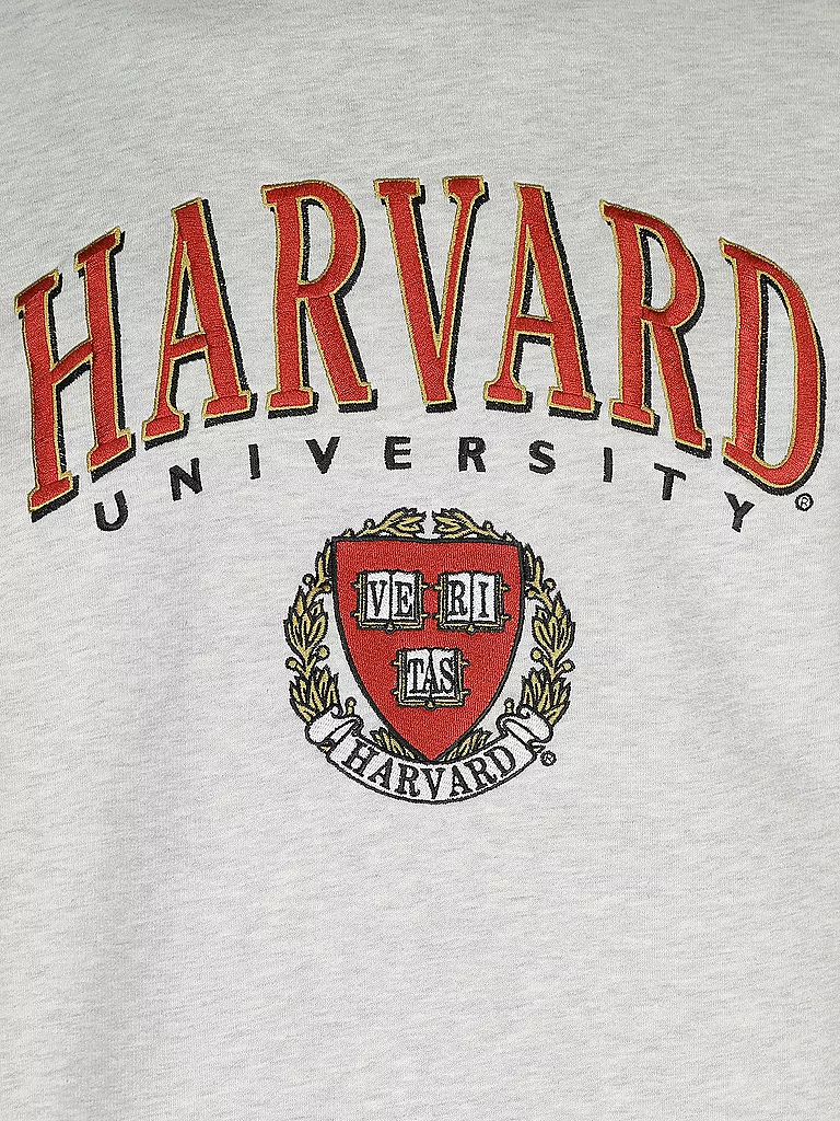 REPLAY | Kapuzensweater - Hoodie COLLEGE HARVARD | grau