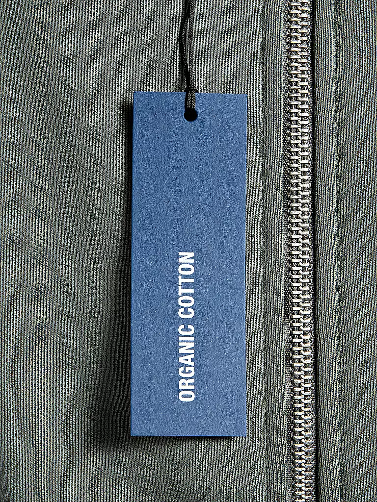 REPLAY | Sweatjacke  | grün