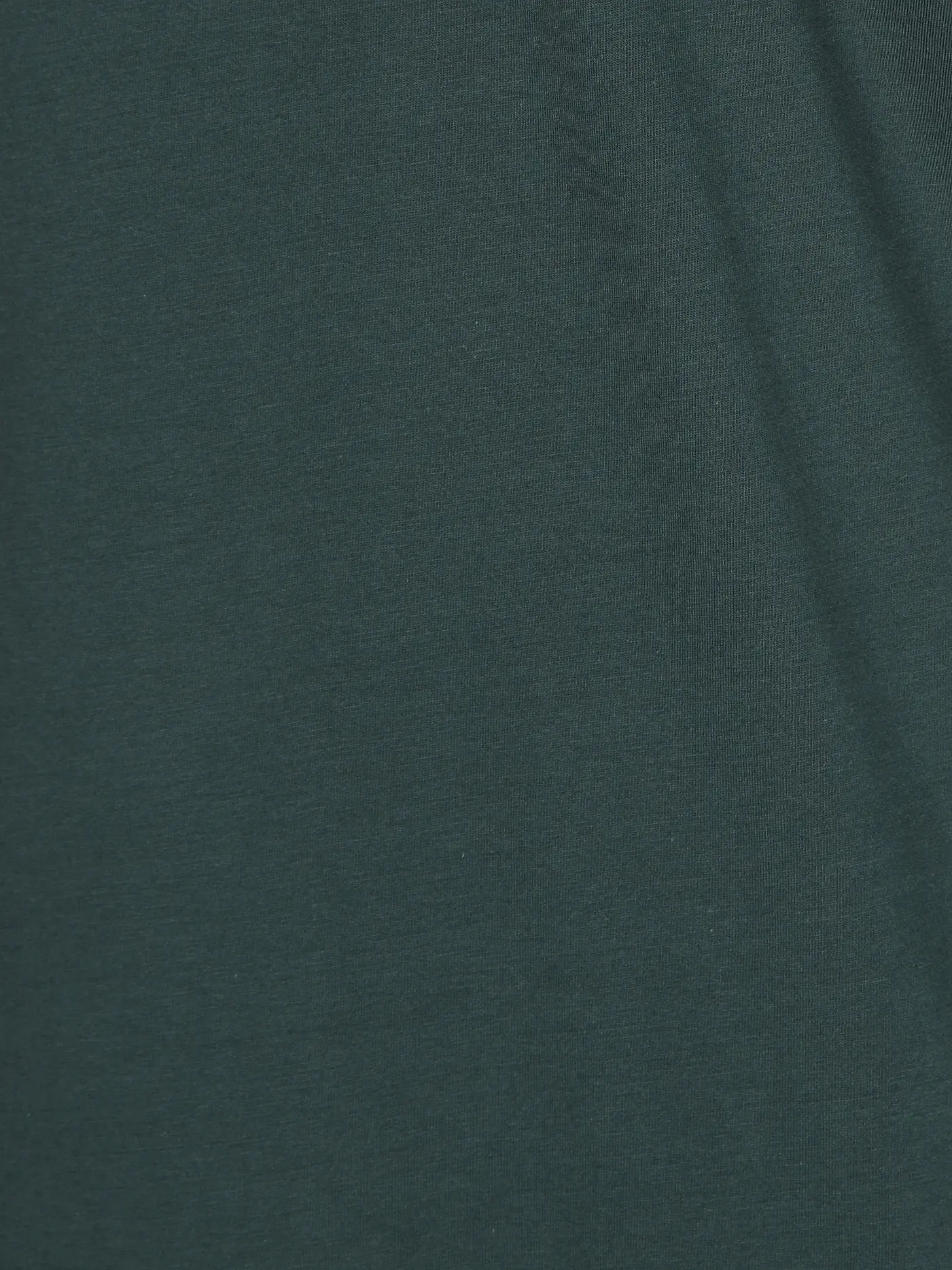 REPLAY | T-Shirt  | dunkelgrün
