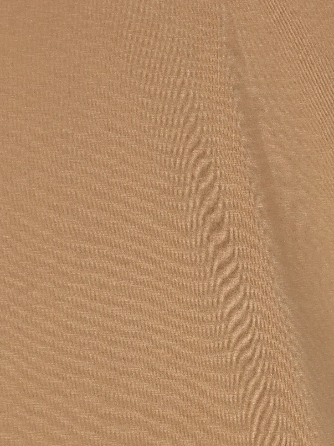 REPLAY | T-Shirt  | braun