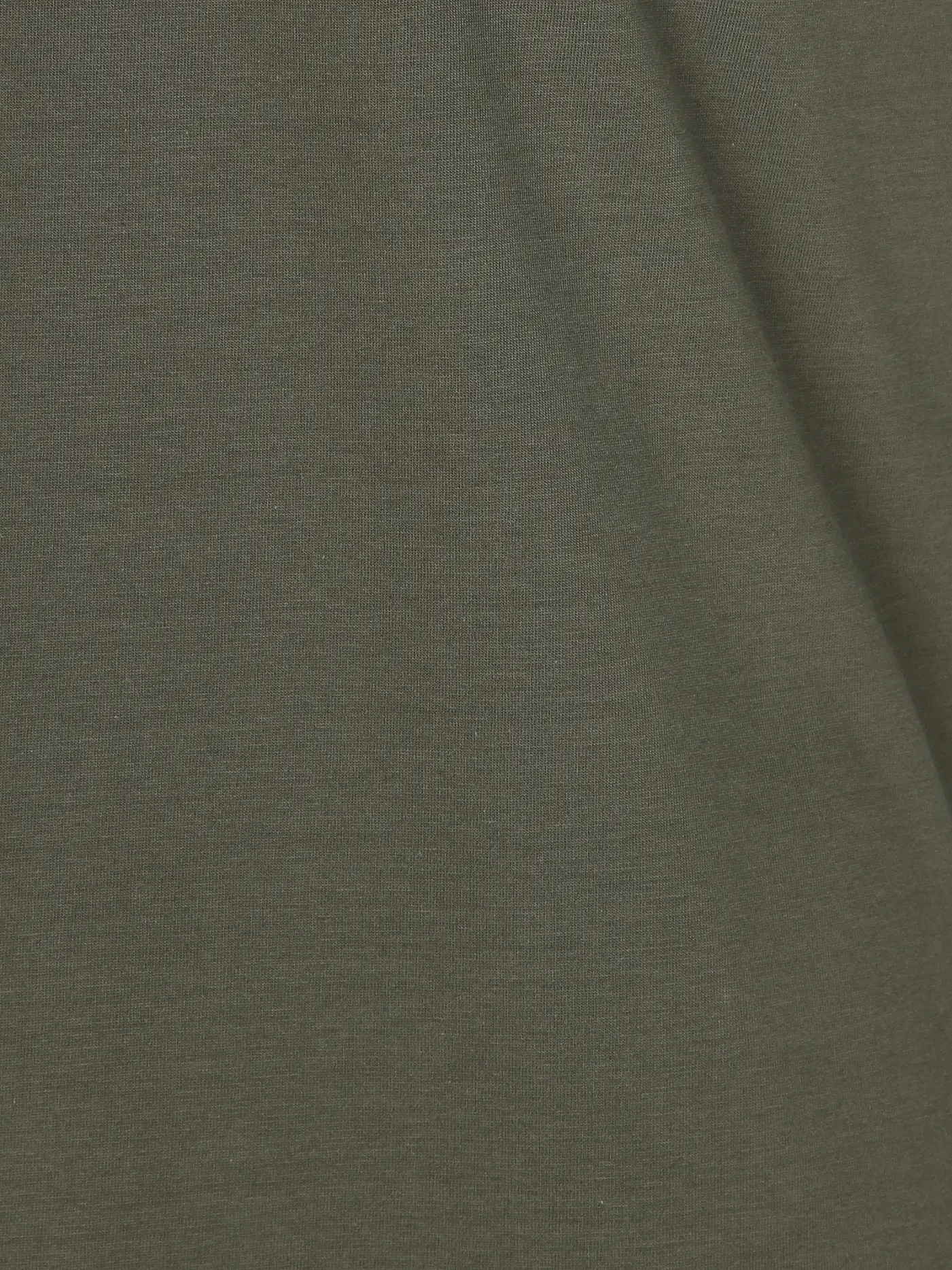 REPLAY | T-Shirt  | olive
