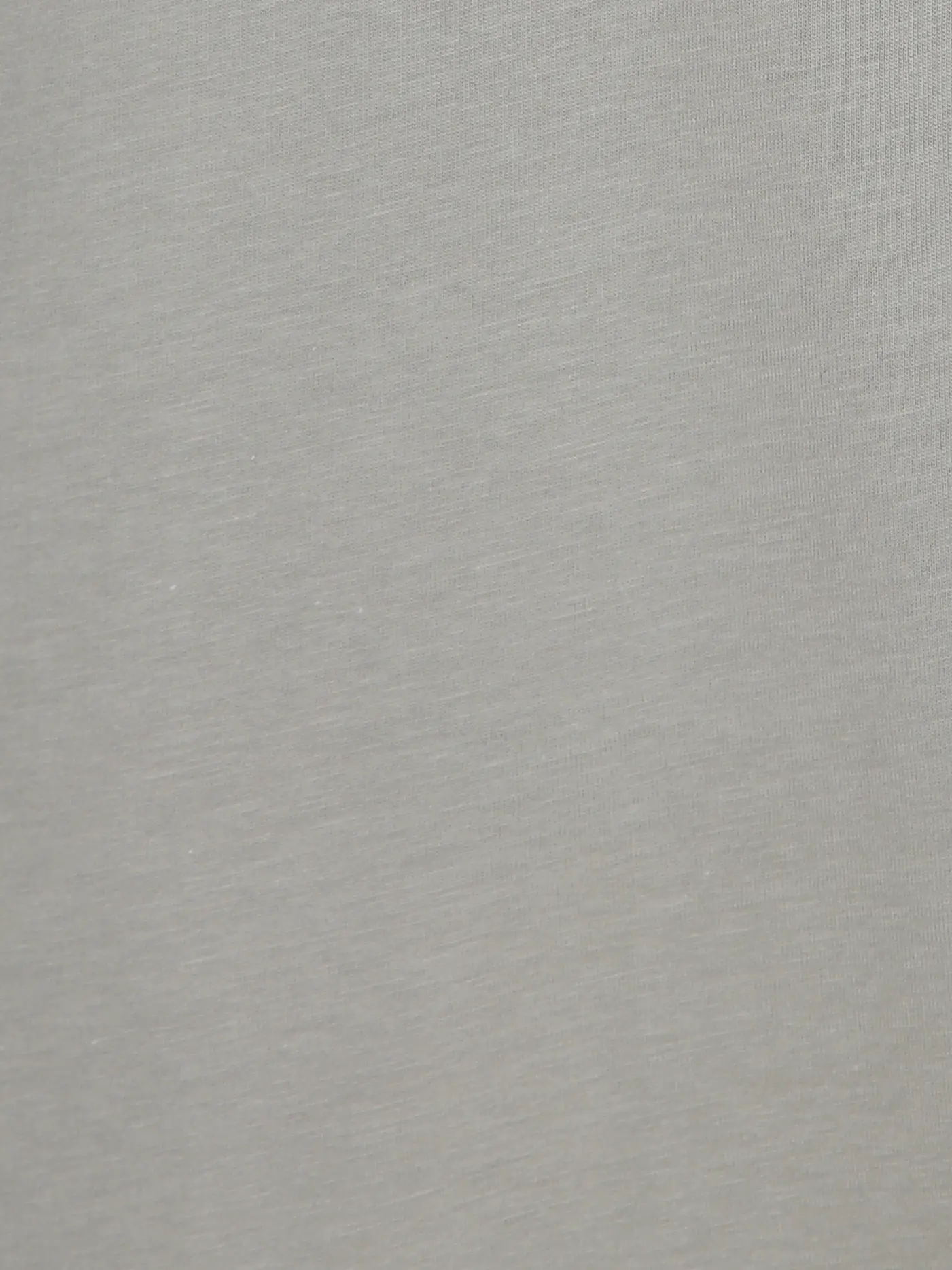 REPLAY | T-Shirt  | grau