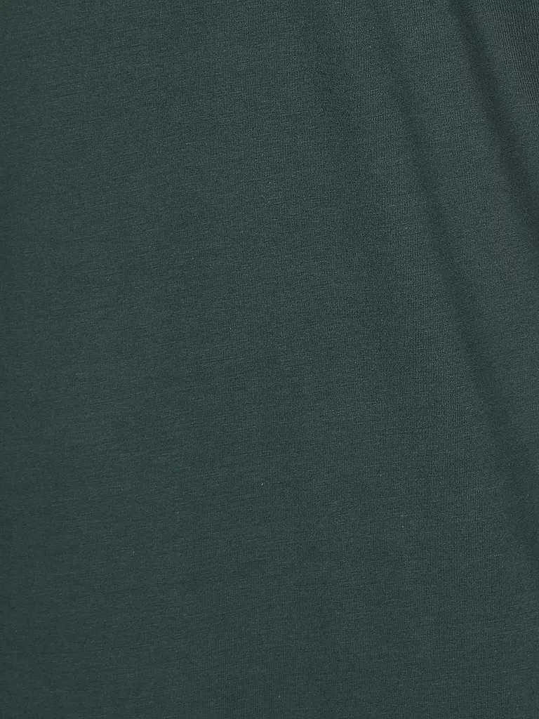 REPLAY | T-Shirt | olive