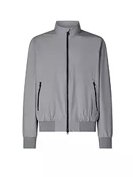 SAVE THE DUCK | Blouson DARK18 | grau