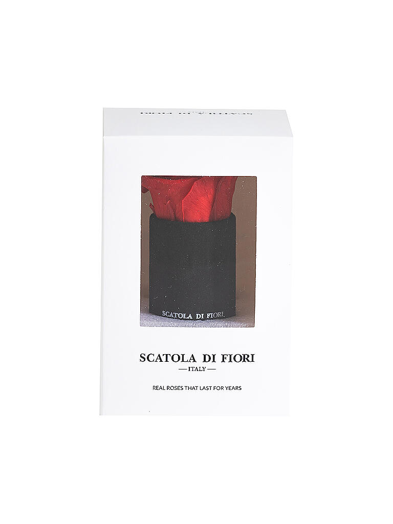 SCATOLA DI FIORI | Infinity Rose in Geschenkbox  | schwarz