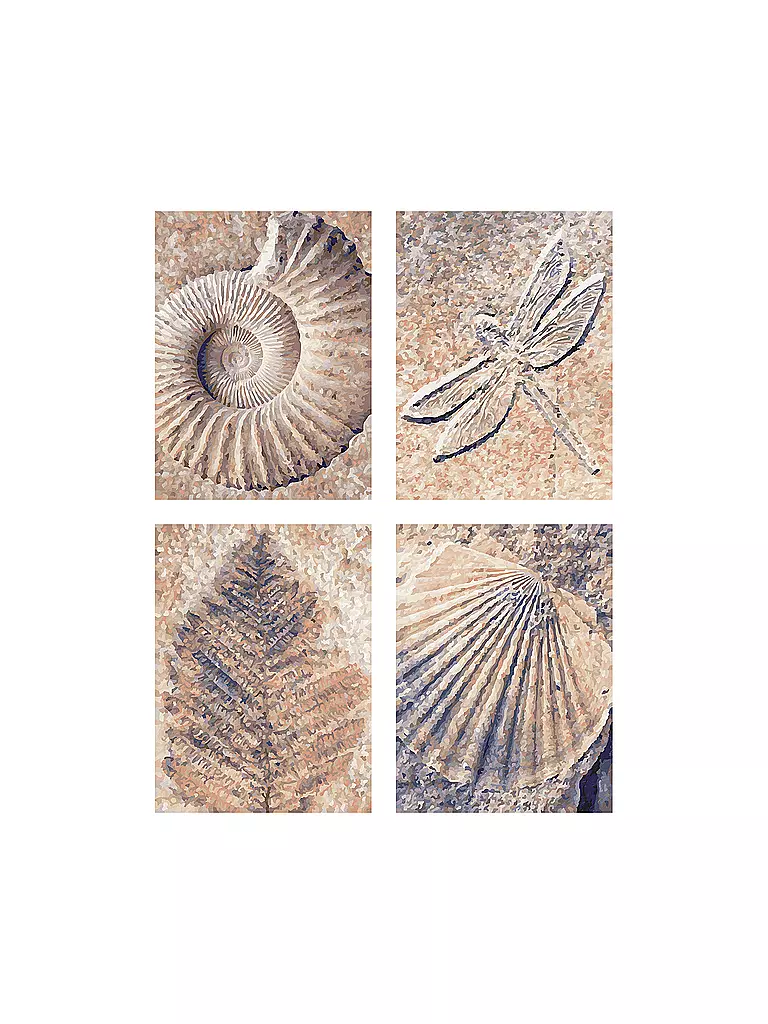 SCHIPPER | Malen nach Zahlen - Fossilien | keine Farbe