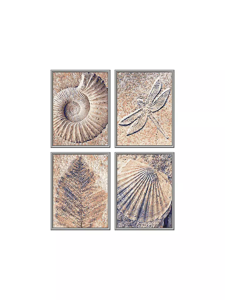 SCHIPPER | Malen nach Zahlen - Fossilien | keine Farbe